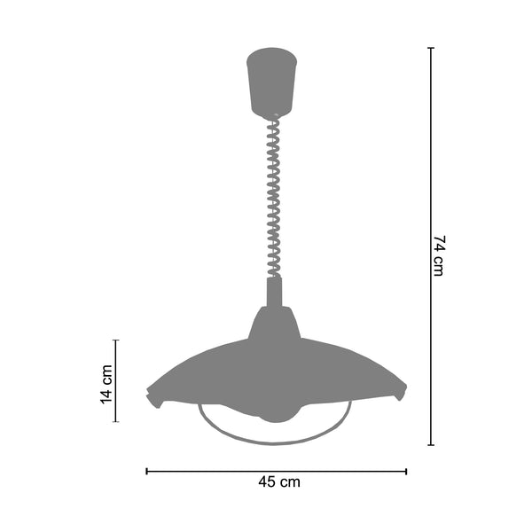 <transcy>Suspensão PETRA  45cm - 1 Luz </transcy>