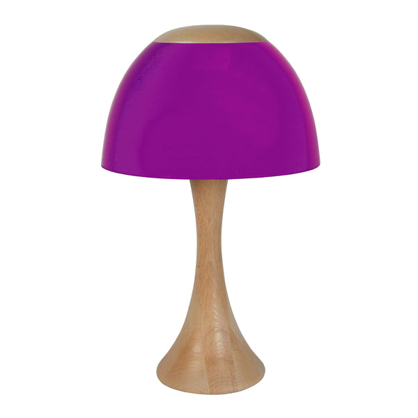 Lampe a poser PLEXI 24cm - 1 Lumière